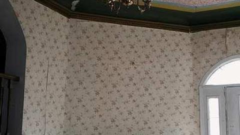 Beautification Sept '18 - DSC03636.jpg