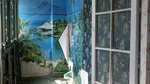 Beautification Sept '18 - DSC03642.jpg