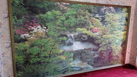 Beautification Sept '18 - DSC03650.jpg