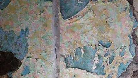 Beautification Sept '18 - DSC03668.jpg