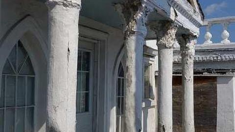 Beautification Sept '18 - DSC03685.jpg