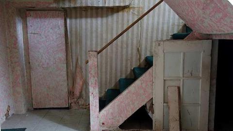 Beautification Sept '18 - DSC03692.jpg