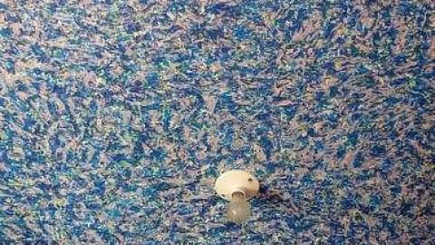 Beautification Sept '18 - DSC03721.jpg