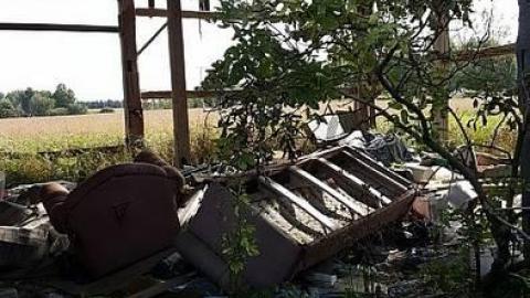 Dark Horse - 20180924_153119.jpg