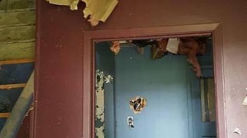 Dark Horse - 20180924_153252.jpg