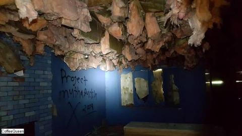 Photo from Dark Horse