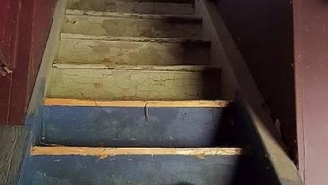 Photo from Dark Horse