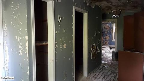 Dark Horse - 20180924_153654.jpg