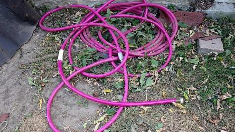 Frozen '18 - DSC03881.jpg