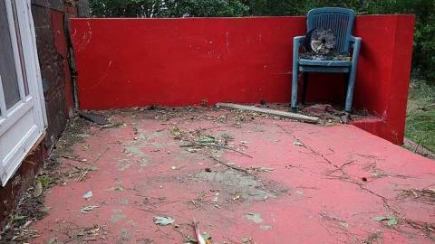 Frozen '18 - DSC03905.jpg