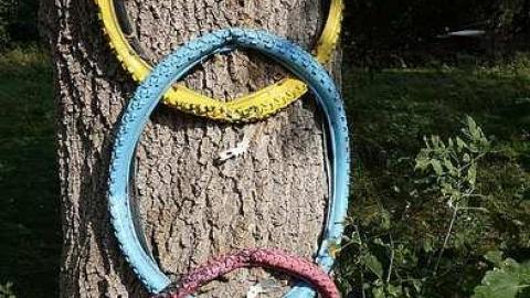 Frozen '18 - DSC03907.jpg