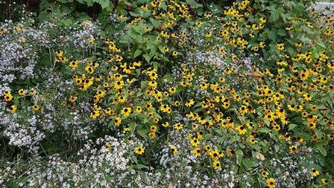 Frozen '18 - DSC03908.jpg