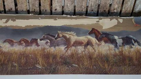 Searching For Stairs '18 - DSC03998.jpg