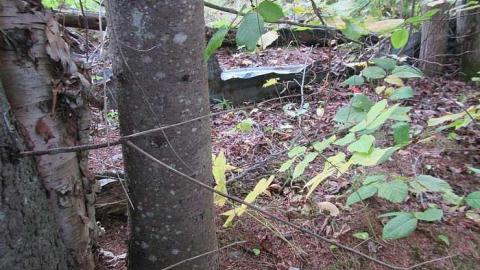 Kiosk Trapper Hut? - Kiosk-Ghost-Town10.jpg