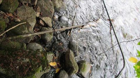 Kiosk Trapper Hut? - Kiosk-Ghost-Town11.jpg