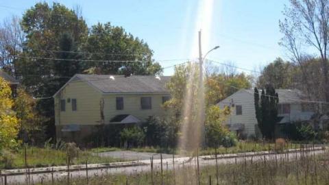 edgar 2 - CFB-Edgar299.jpg