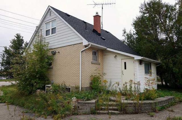 Colt, The Squatter's Choice photo 4