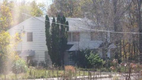 edgar 2 - CFB-Edgar300.jpg