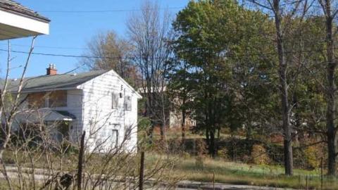 edgar 2 - CFB-Edgar302.jpg