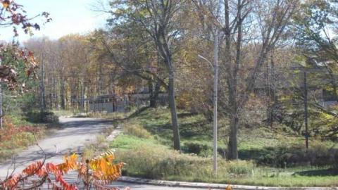 edgar 2 - CFB-Edgar304.jpg