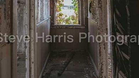 fall through cover photo