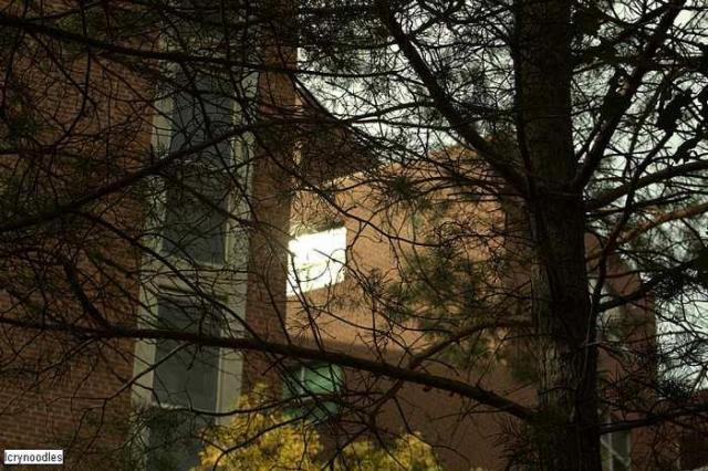 BARBED FENCE - Exterior only  - St.-Josephs-Hospital-Sudbury49.jpg