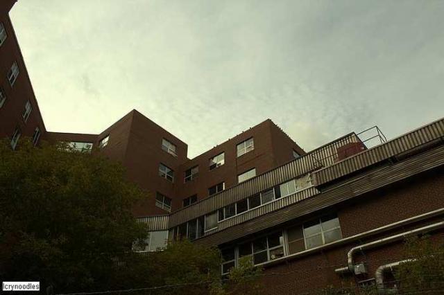 BARBED FENCE - Exterior only  - St.-Josephs-Hospital-Sudbury54.jpg