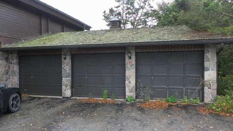 Lots of wood - SAM_2715.jpg