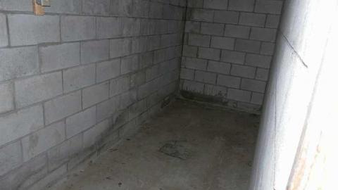 Lots of wood - SAM_2731.jpg