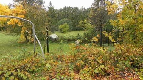 Lots of wood - SAM_2747.jpg