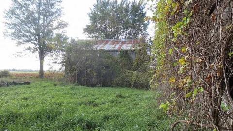 Oct 2018 - IMG_2414.jpg