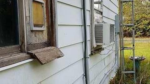 Hiding in Hockley - 20181015_131703.jpg