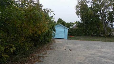 Landlord calling. photo 5