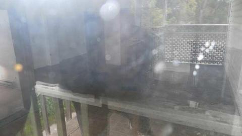 Landlord calling. photo 2