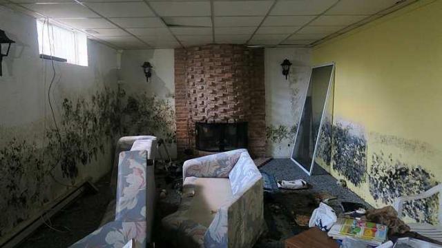 Italian 70s Mansion photo 5