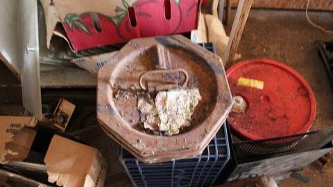 Cooler Than Expected - Elmvale-Drive-In9.jpg