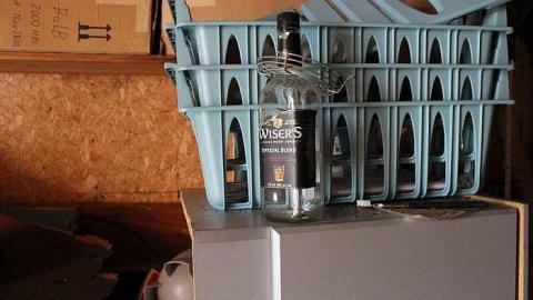 Cooler Than Expected - Elmvale-Drive-In10.jpg