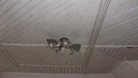 10/22/11 - Old-and-Good79.jpg