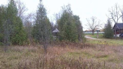 Old Resort - Swiss-Chalet-Park6.jpg