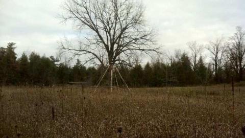 Old Resort - Swiss-Chalet-Park10.jpg