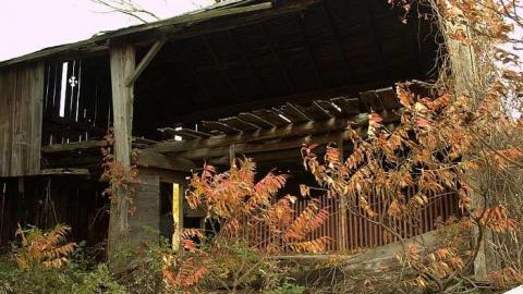 October 2018 - Log-Cabin-and-Barns43.jpg