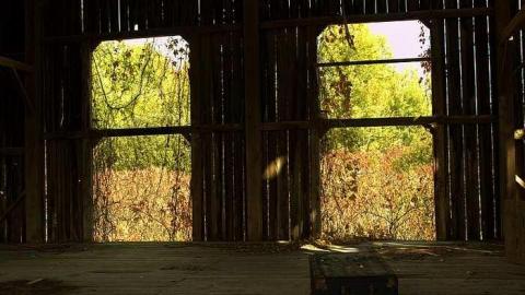 October 2018 - Log-Cabin-and-Barns46.jpg