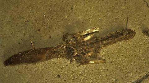 Photo from October 2018