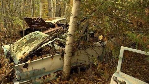 Bullet Holes and Mystery - Golden-Oldies--Four-50s-Cars9.jpg