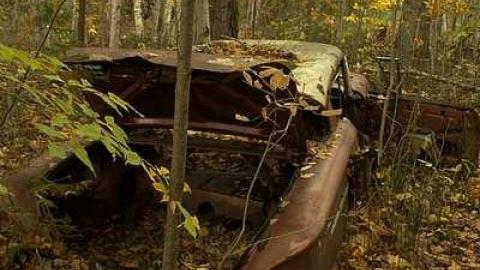 Bullet Holes and Mystery - Golden-Oldies--Four-50s-Cars10.jpg