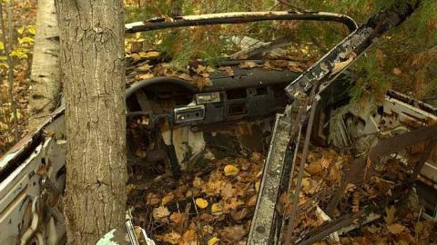 Bullet Holes and Mystery - Golden-Oldies--Four-50s-Cars11.jpg