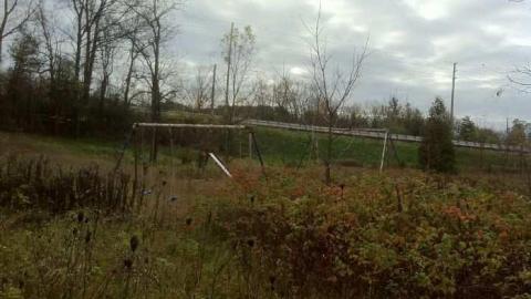 Old Resort - Swiss-Chalet-Park12.jpg