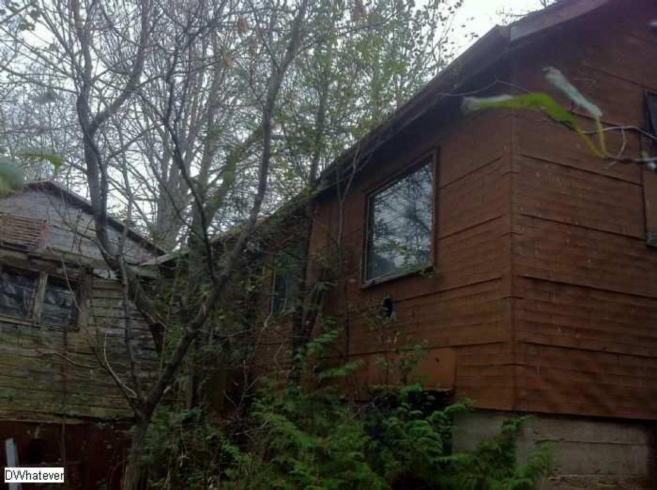 Old Resort - Swiss-Chalet-Park19.jpg