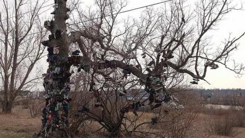 Photo from April '18