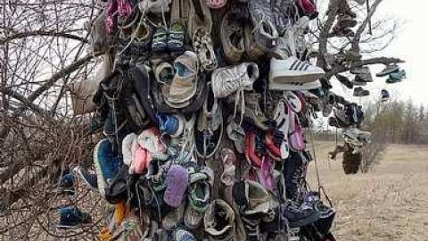 Photo from April '18